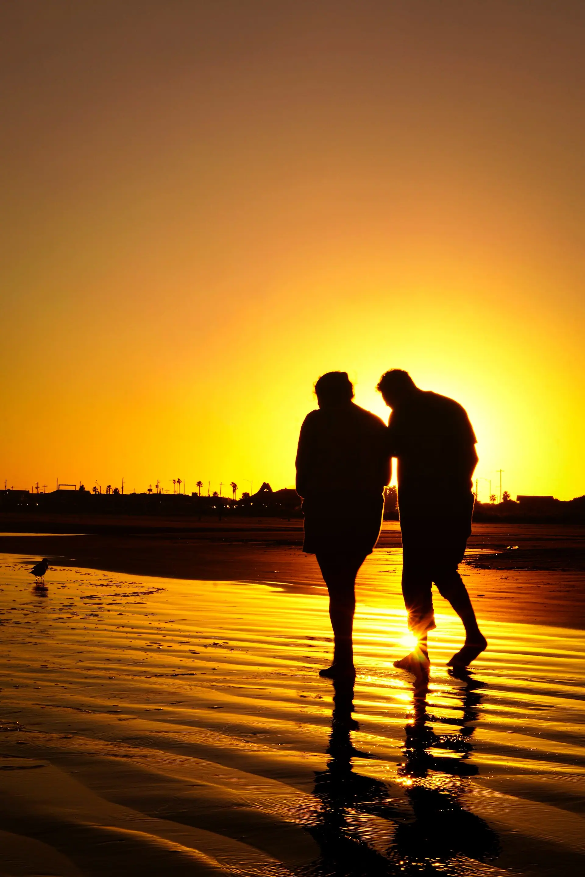 Casal de idosos caminhando abraçado na beira da praia ao pôr do sol